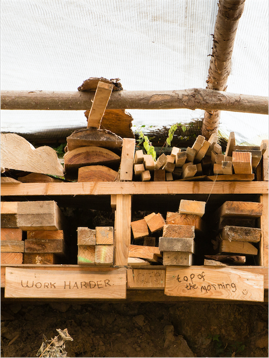 recourse quotes wood - Prisoner Training &amp; Placements