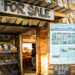 landworks charity christmas market garden stall dartington devon 150x150 - Prisoner Training & Placements