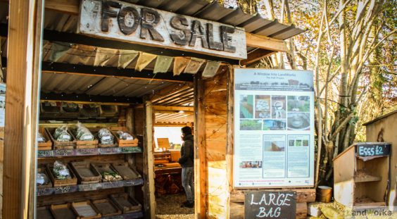landworks charity christmas market garden stall dartington devon 564x311 - Prisoner Training &amp; Placements