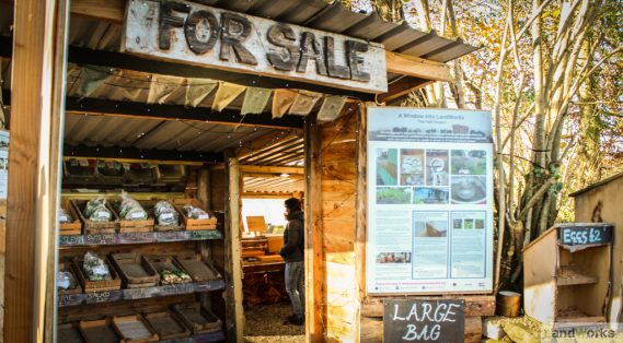 landworks charity christmas market garden stall dartington devon 569x314 - Prisoner Training &amp; Placements