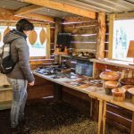 landworks charity christmas market garden stall dartington devon 6 150x150 - Prisoner Training & Placements