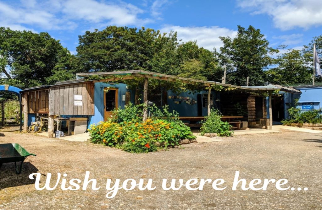 Wish you were here postcard webstie 1024x669 - Prisoner Training & Placements