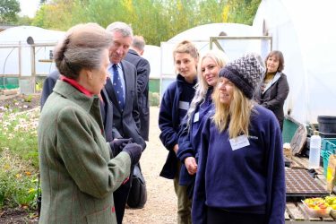 Polytunnels low res scaled 375x250 - Prisoner Training &amp; Placements