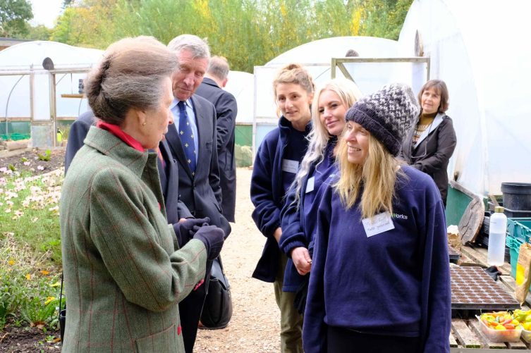 Polytunnels low res scaled 753x501 - Prisoner Training &amp; Placements